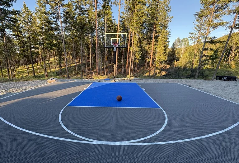 Grey court with a blue key in a wooded backyard
